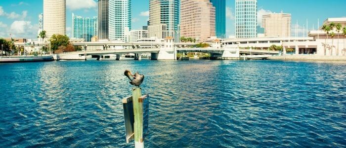 best places to kayak in Tampa Florida