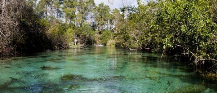 weeki wachee springs state park in Florida-min