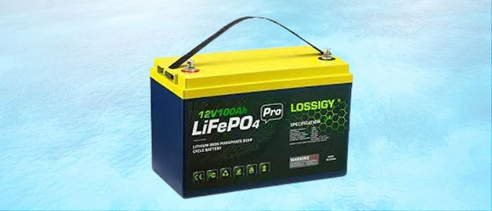 _LOSSIGY 100Ah Lithium Battery