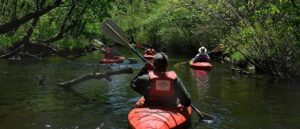 Top 20 Best Places To kayak In New Jersey: Must Visit Places