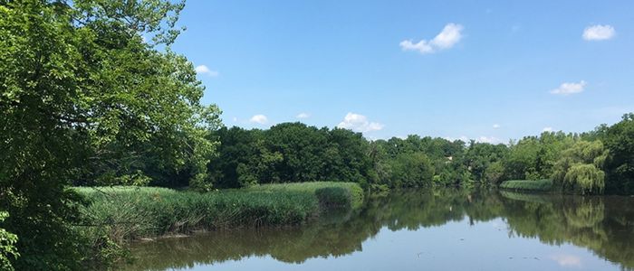Hackensack River, another place to kayak in New Jersey