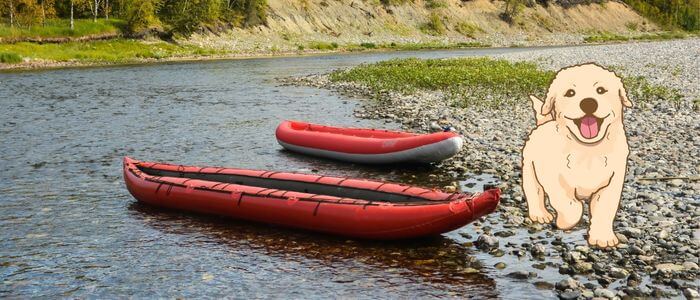 can dogs go on inflatable kayaks without destroying them